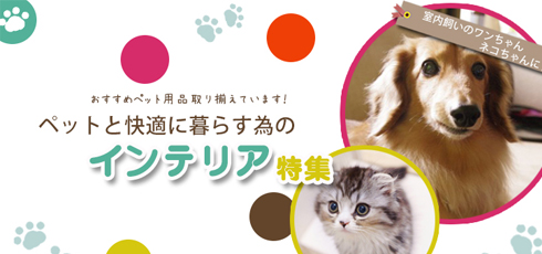 秋田 DIY＆リフォームショップREROOM【ペット特集 滑り止め】